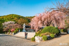 > > >충남관광 충남관광