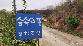 사는이야기 - 변이종 이라는 식물의 신세계에 빠져 귀촌을 선택한 젊은 부부 - 충청남도 변이종 이라는 식물의 신세계에 빠져 귀촌을 선택한 젊은... 