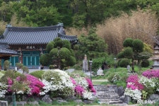 여행 - 고려 시대의 불상을 품고 있는 목천 용화사 - 충청남도 고려 시대의 불상을 품고 있는 목천 용화사