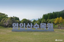 충남관광
