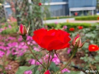 사람들 - 김완순씨, 저축의 날 맞아 국민포장 수상 - 충청남도 김완순씨, 저축의 날 맞아 국민포장 수상