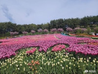 > > >충남관광 충남관광