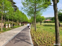 문화·역사 - 예쁜 자연을 머금은 논산시민공원 - 충청남도 예쁜 자연을 머금은 논산시민공원