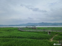 충남관광