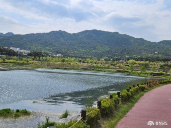 충남관광