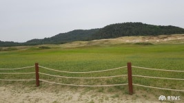 충남관광