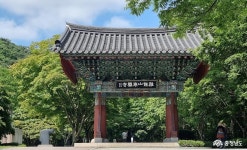 여행 - 공주 동학사 가는 길, 유심히 보니 새롭다 - 충청남도 공주 동학사 가는 길, 유심히 보니 새롭다