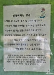 여행 - 공주 동학사 가는 길, 유심히 보니 새롭다 - 충청남도 공주 동학사 가는 길, 유심히 보니 새롭다