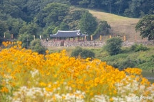먹거리 - 초여름을 맞이하는 공주 신관공원 - 충청남도 초여름을 맞이하는 공주 신관공원