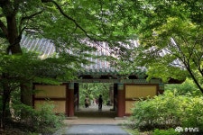 여행 - 공주의료원 산악회 하산과 계룡산국립공원 갑사 - 충청남도 공주의료원 산악회 하산과 계룡산국립공원 갑사