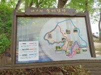 문화·역사 - 공주 마곡사 - 충청남도 공주 마곡사