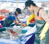 시군뉴스 - 체육도 ‘강한 충남’ - 충청남도 체육도 ‘강한 충남’