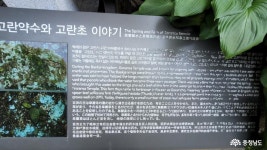 여행 - 부여 축제의 화룡점정 <2023 대백제전> 성료를 응원하며 - 충청남도 부여 축제의 화룡점정 <2023 대백제전> 성료를 응원하며