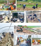 시군뉴스 - 체육도 ‘강한 충남’ - 충청남도 체육도 ‘강한 충남’