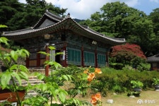 여행 - 백제 시대의 고찰 공주 신원사(新元寺)의 여름 - 충청남도 백제 시대의 고찰 공주 신원사(新元寺)의 여름