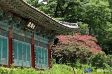 여행 - 백제 시대의 고찰 공주 신원사(新元寺)의 여름 - 충청남도 백제 시대의 고찰 공주 신원사(新元寺)의 여름