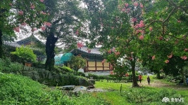 충남관광