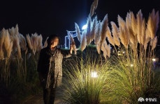 충남관광