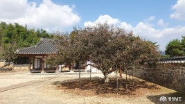 문화·역사 - 논산 돈암서원, 사계 김장생선생의 흔적을 보다 - 충청남도 논산 돈암서원, 사계 김장생선생의 흔적을 보다