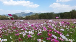문화·역사 - 논산 돈암서원, 사계 김장생선생의 흔적을 보다 - 충청남도 논산 돈암서원, 사계 김장생선생의 흔적을 보다