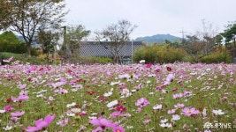 충남관광