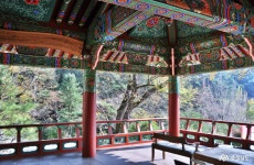 여행 - 향천사 고즈넉한 정경속에 옅게 물든 단풍을 즐기다 - 충청남도 향천사 고즈넉한 정경속에 옅게 물든 단풍을 즐기다