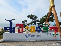 여행 - 오색 매력을 품은 대천해수욕장 - 충청남도 오색 매력을 품은 대천해수욕장