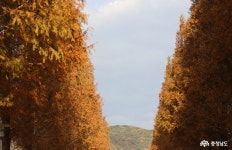 충남관광