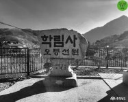 > > >충남관광 충남관광