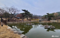 > > >충남관광 충남관광