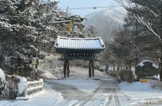 문화, 역사 - 충청남도 누리집(홈페이지) 충청남도 누리집(홈페이지)