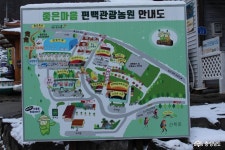 사는이야기 - ‘논산의 알프스’ 편백관광농원에서 힐링을 찾다 - 충청남도 ‘논산의 알프스’ 편백관광농원에서 힐링을 찾다