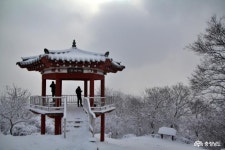 충남관광