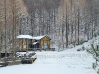 충남관광