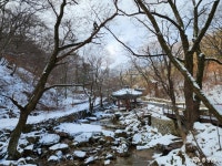 충남관광