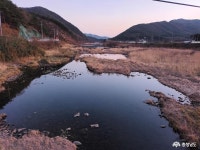 사는이야기 - 지방하천인 웅천천이 승격을 했어요 - 충청남도 지방하천인 웅천천이 승격을 했어요