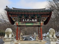 전체기사 - 충남.충청남도 혁신도시 충청남도 혁신도시