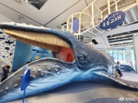 충남관광