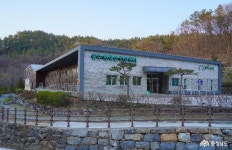 여행 - 금학생태공원에서 치유의 숲까지 거닐며 힐링하기 - 충청남도 금학생태공원에서 치유의 숲까지 거닐며 힐링하기
