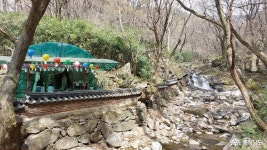 > > >충남관광 충남관광