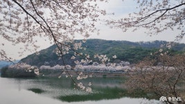 충남관광