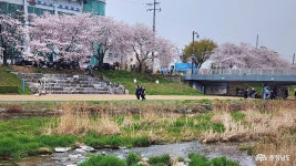 충남관광