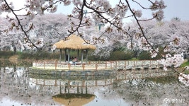 충남관광