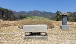 충남관광