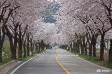 충남관광