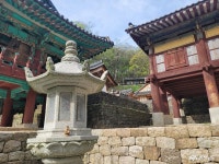 충청남도 누리집(홈페이지)