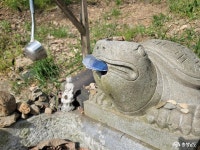 충청남도 누리집(홈페이지)