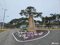 사는이야기 - 솔바람 테마파크에서 소나무의 향에 취하다 - 충청남도 솔바람 테마파크에서 소나무의 향에 취하다