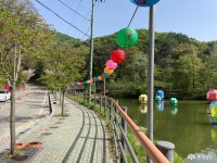 사는이야기 - 겹벚꽃이 팡팡 꽃나들이 명소 - 충청남도 겹벚꽃이 팡팡 꽃나들이 명소
