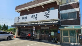 여행 - 공주 춘산 메밀꽃을 아시나요??? - 충청남도 공주 춘산 메밀꽃을 아시나요???